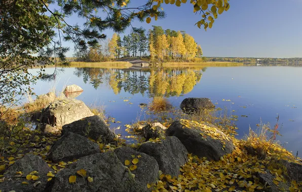 Autumn, trees, lake