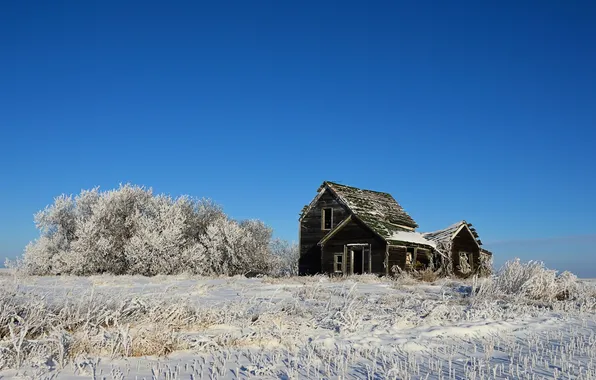 Winter, field, landscape, home