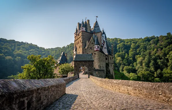 Picture forest, bridge, castle, Germany, Germany, Eltz Castle, ELTZ Castle