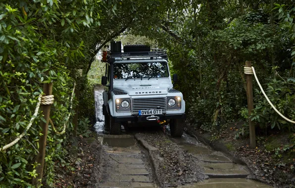 Picture greens, Land Rover, Defender, 2015