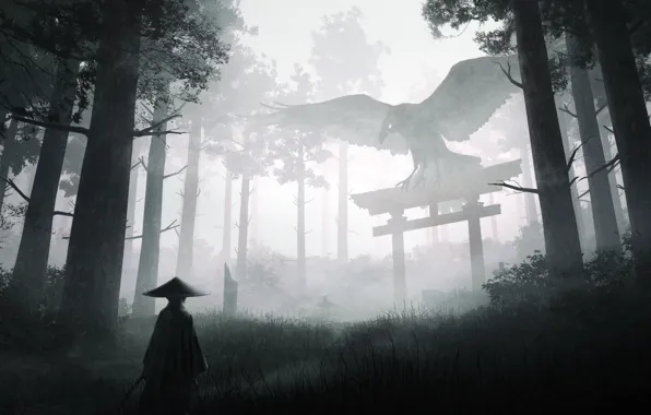 Forest, male, Raven, torii