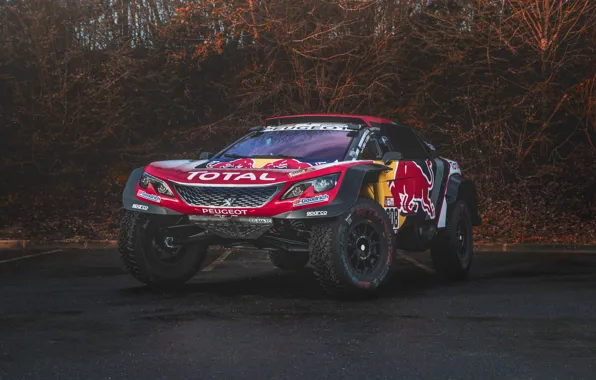 Auto, Sport, Machine, Speed, Peugeot, Lights, Red Bull, Rally