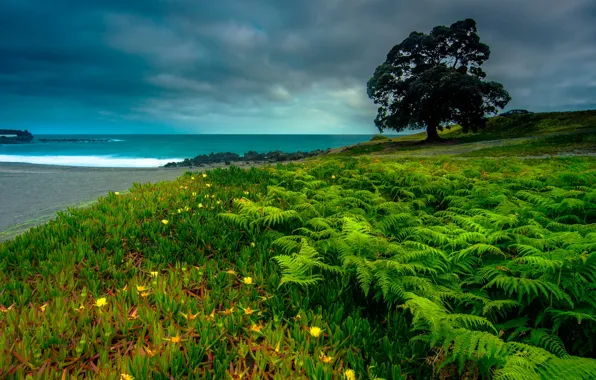 Sea, greens, the sky, trees, clouds, coast, horizon, Portugal