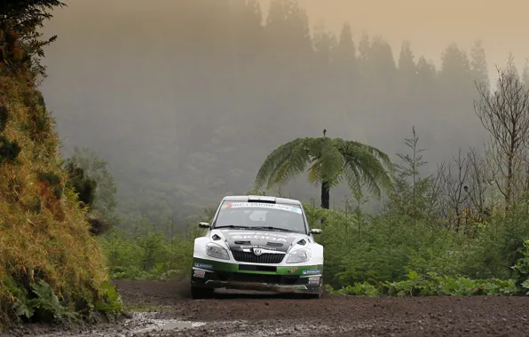 Picture Fog, Dirt, Rally, Rally, The front, Skoda, Fabia