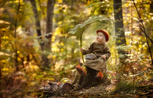 Picture forest, sheet, stump, girl, dwarf, hedgehog