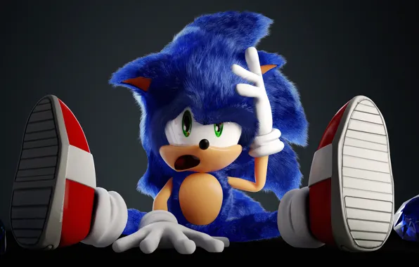 Picture character, games, sonic, hedgehog