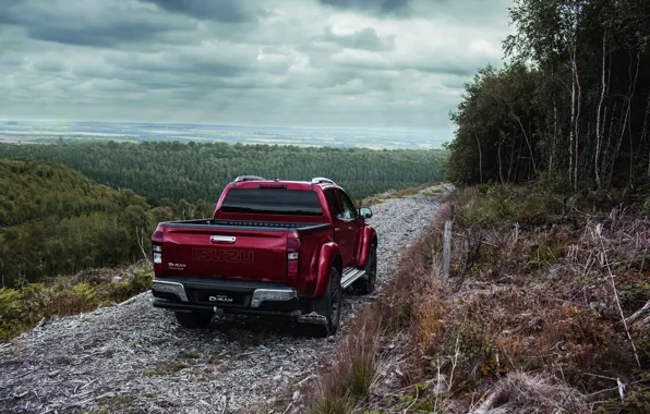 Picture road, back, pickup, Isuzu, 2017, Arctic Trucks, D-Max, UK version