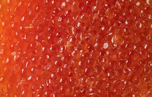 Macro, Shine, a lot, caviar, red caviar, eggs, fish