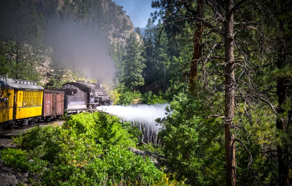 Forest, trees, mountains, train, the engine, Colorado