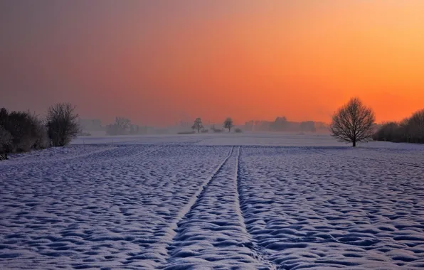 Winter, field, night