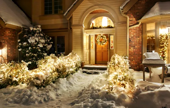 Winter, snow, night, nature, lights, lights, house, holiday