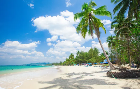 Sand, sea, beach, the sun, palm trees, shore, summer, beach