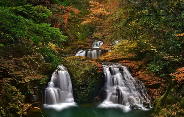 Autumn, forest, trees, Japan, Japan, waterfalls, cascade, Nabari