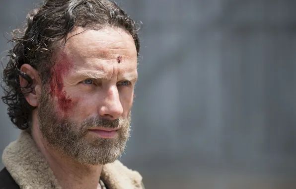 Look, face, The Walking Dead, Andrew Lincoln