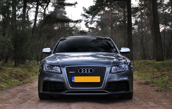 Picture road, forest, Audi, RS5
