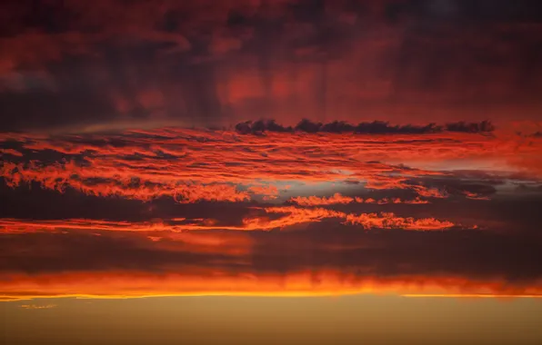 The sky, clouds, nature, dawn