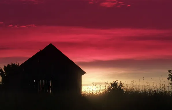 Landscape, night, home