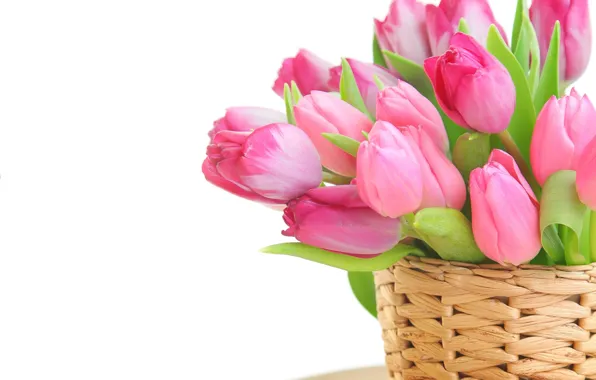 Flowers, eggs, Easter, tulips