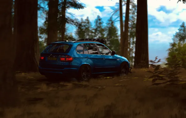 HDR, BMW, Clouds, Sky, Wood, Game, SUV, X5M