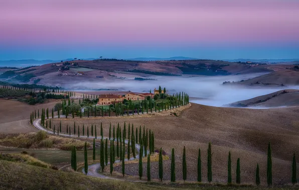 Road, the sky, trees, fog, hills, field, Italy, houses