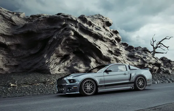 Picture Mustang, supercar, Mustang GT 500