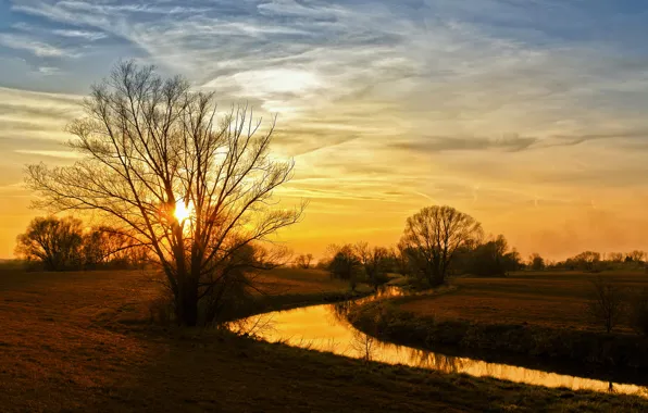 Autumn, trees, landscape, nature, river, Bank