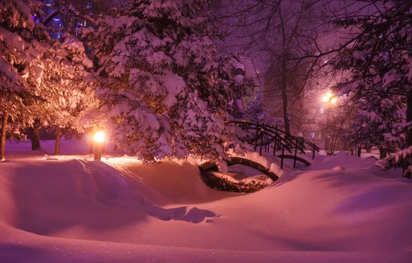 Winter, snow, trees, nature, Park, the evening, lighting, lights