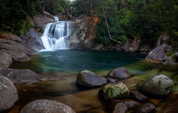 Greens, forest, summer, water, landscape, nature, stones, shore