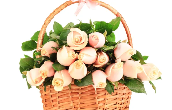 Picture basket, roses, buds