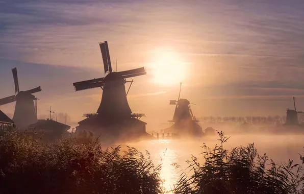 Picture fog, sunrise, windmill