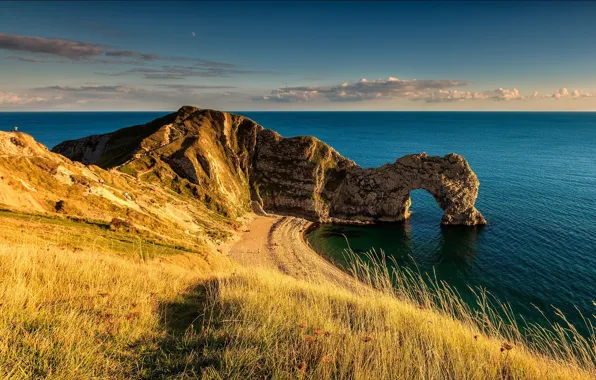 Grass, beach, sky, sea, landscape, nature, water, clouds