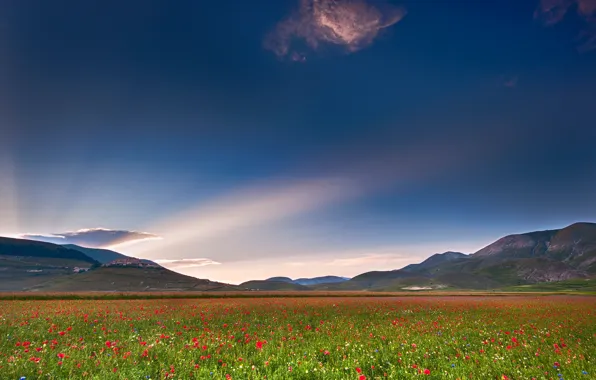 Field, the sky, light, Maki, cloud, Italy, Umbria