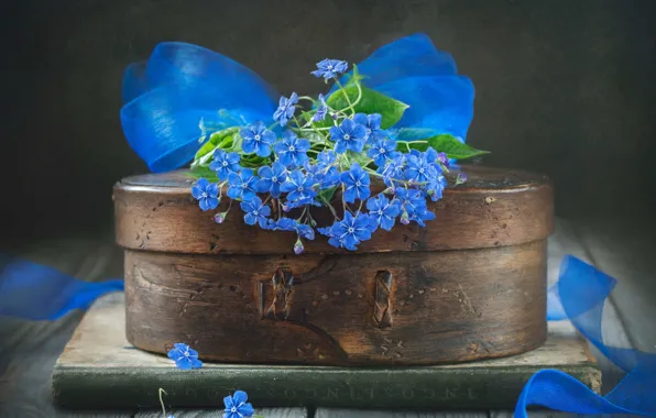 Flowers, blue, box, still life, bow, tuesok, Brunner