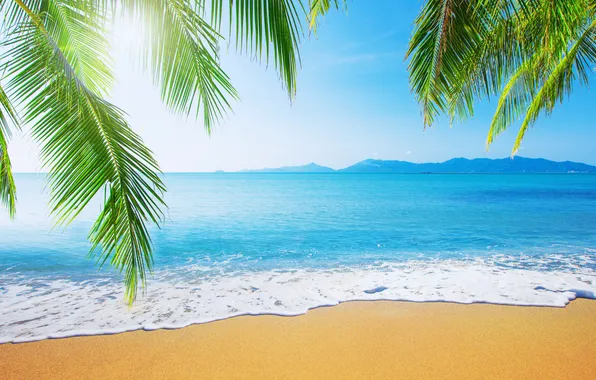 Sand, sea, beach, summer, the sky, palm trees, shore, summer