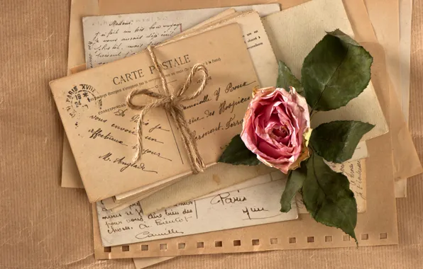 Picture flower, retro, rose, vintage, rope, vintage, letters, cards