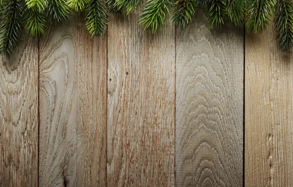 Branches, background, Board, tree, Christmas, wood, background, spruce
