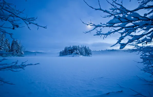 Picture winter, snow, trees, the moon, the evening, frost