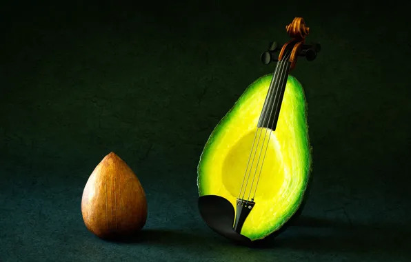 Fantasy, violin, strings, avocado