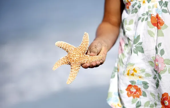 Macro, star, hand, shell, sea