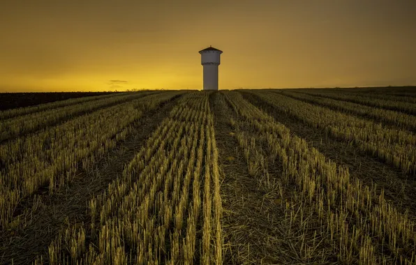 Picture field, night, tower