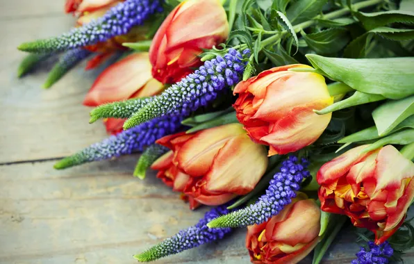 Picture flowers, bouquet, tulips