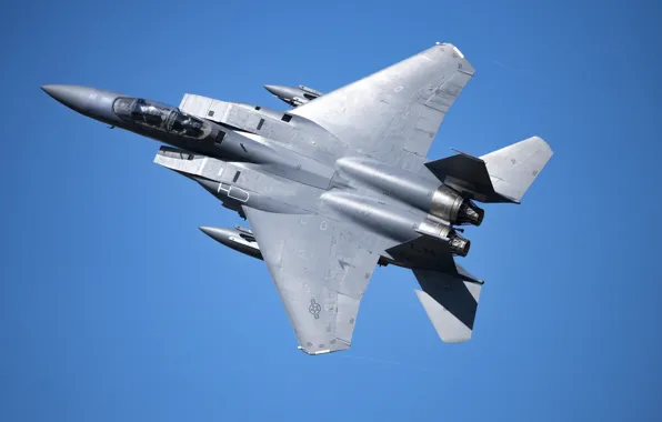 Picture American double, McDonnell Douglas F-15E Strike Eagle, UNITED STATES AIR FORCE, fighter-bomber