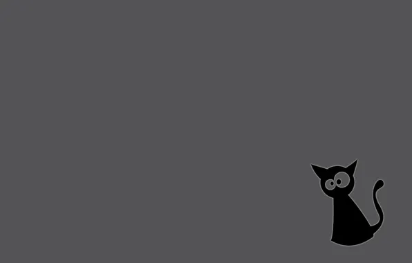 Picture cat, grey background, black cat