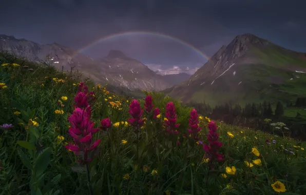 Summer, flowers, mountains, rainbow, spring, after the rain