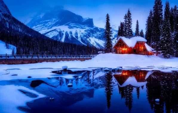 Winter, forest, water, snow, trees, mountains, lights, lake