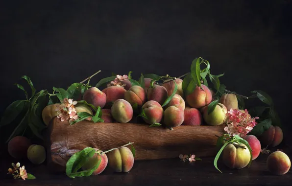 Leaves, flowers, still life, peaches, stand, hydrangea