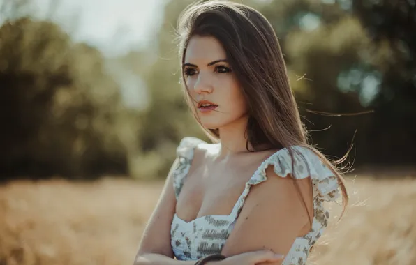 The sun, trees, model, portrait, hands, makeup, dress, hairstyle