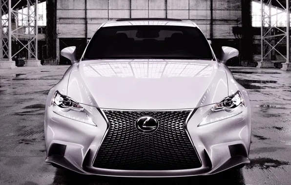 Machine, Lexus, the hood, the front, IS 350, F-Sport