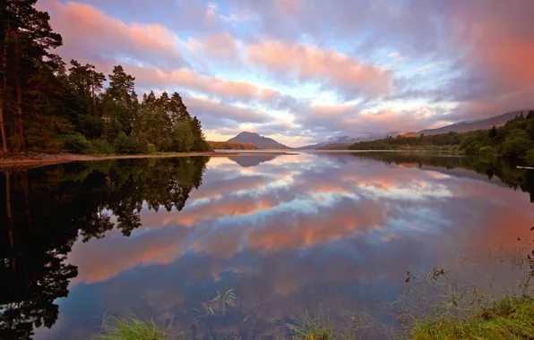 Forest, the sky, clouds, lake, reflection, mountain