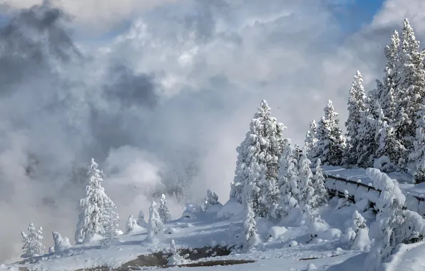 Winter, Yellowstone National Park, Porcelain Basin